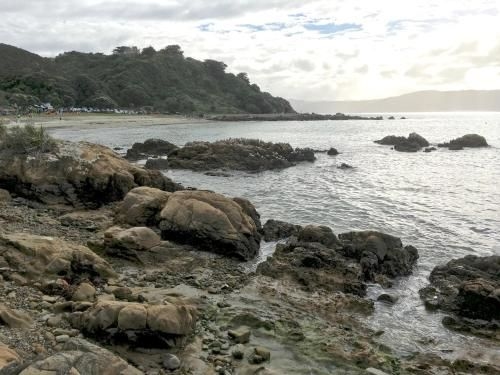 Karaka Bays4