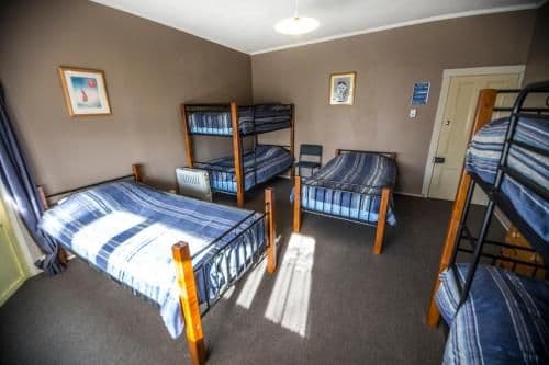 Bed in 6-Bed Dormitory Room
