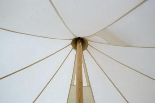 Wild Forest Estate Glamping2