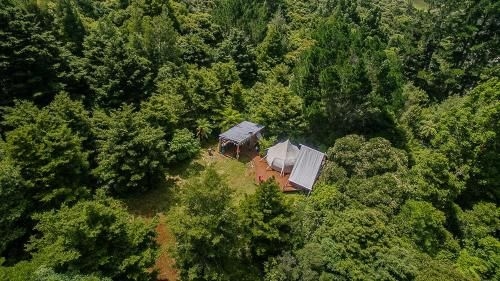 Wild Forest Estate Glamping3