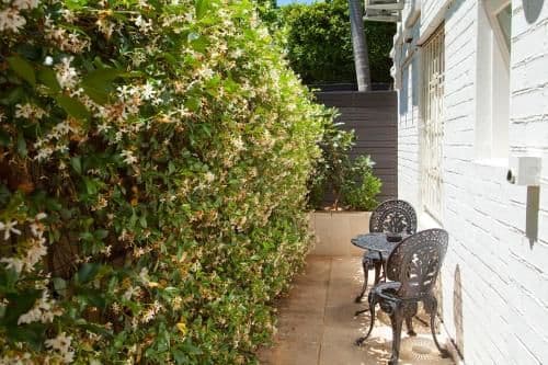 Queen Room - Pet Friendly