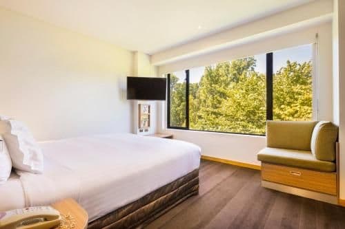 Premium King Room