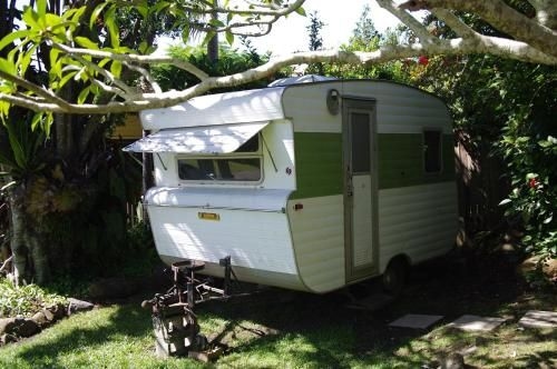 The Tree House, 6 Gowing Street2