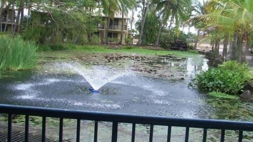 Bushland Beach Tavern3