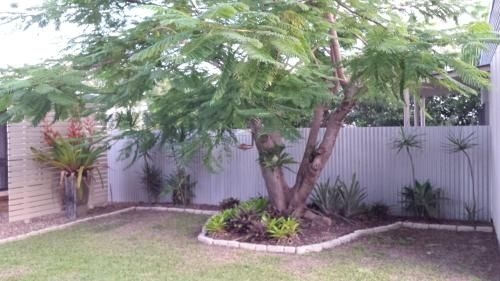 Bluegrass BnB3