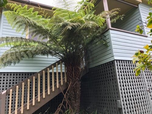 15 Clarke Street2