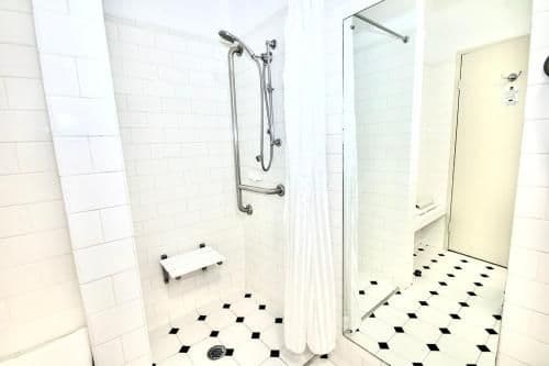 King Room with Roll-In Shower - Disability Access