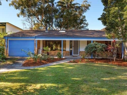Shady Treez - Pet Friendly Shady Treez - Pet Friendly