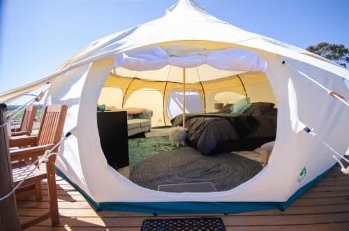 Tent - 5