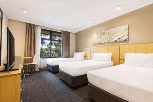 Standard King or Twin Room