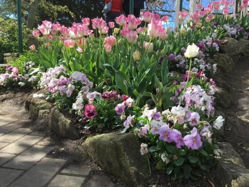 Clubbe Cottage4