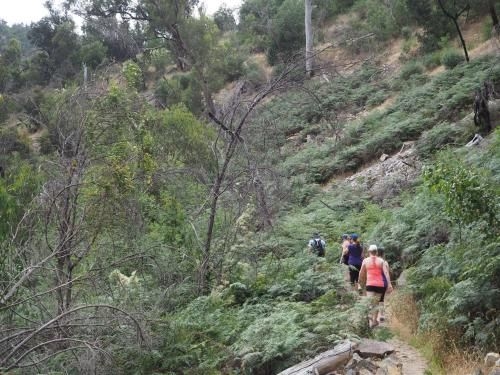 Golton in the Gap4