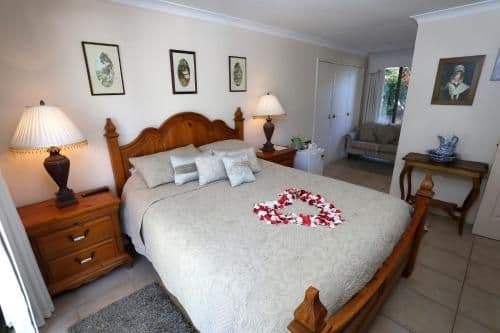 Large Double or Twin Room