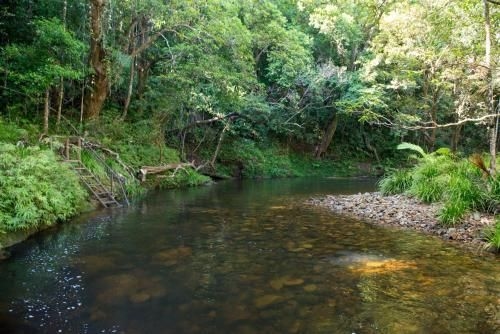 Noah Creek Eco Huts2