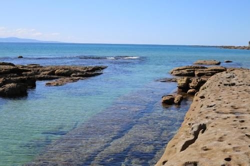 The Crescent - Pet Friendly - 1 Min to Beach2