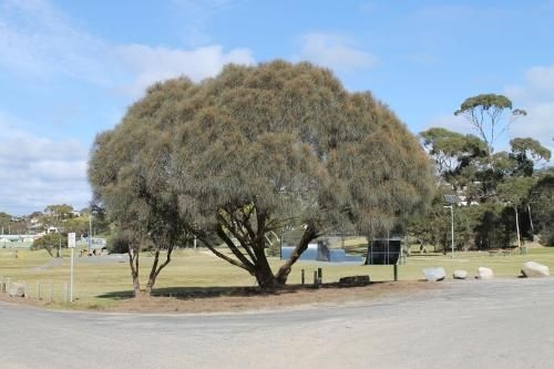 Bircoo Cottage Beach and Golf Getaway4