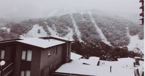 อพาร์ตเมนต์ 2 ห้องนอน 2 ห้องน้ำส่วนตัว ขนาด 10 ตร.ม. – เธรดโบวิลเลจ (Snowman 1)1