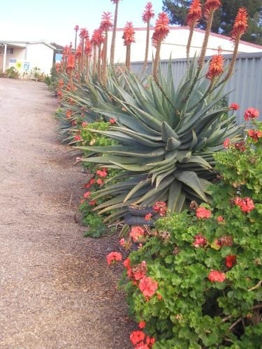 Moonta Bay Accommodation3