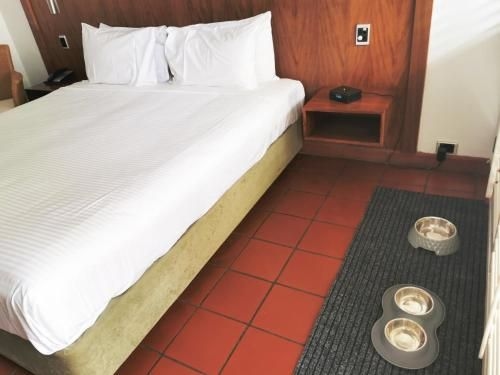 Ramada By Wyndham Cairns City Centre1