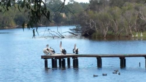 Jacaranda Hideaway Bed & Breakfast4