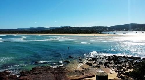 Beachcomber - Pet Friendly3