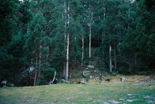 Unpowered Campsites