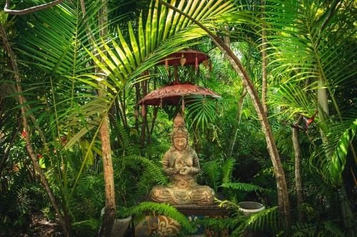 Tropic Days Boutique Hostel4