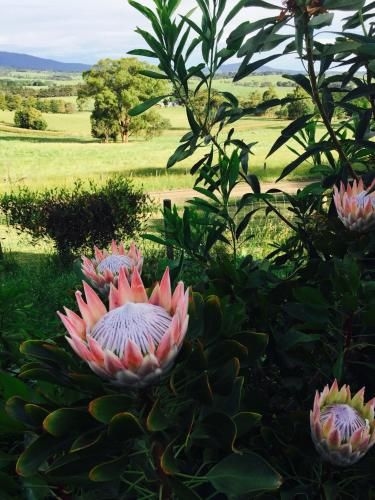 The Studio - Yarra Valley2