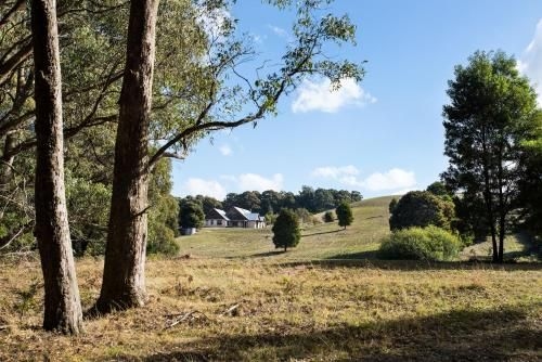 Three Paddocks3