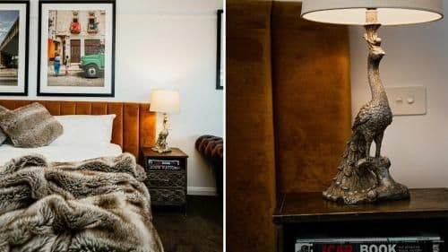 Superior Suite