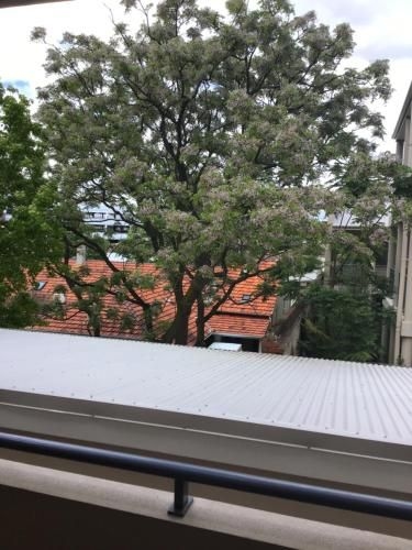James Henty Apartments3