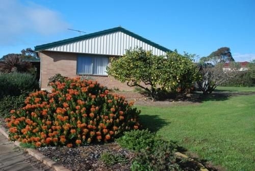 Lemontree Cottage0