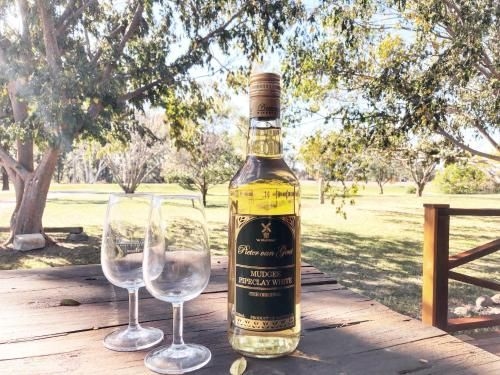 Pieter van Gent Winery & Vineyard4