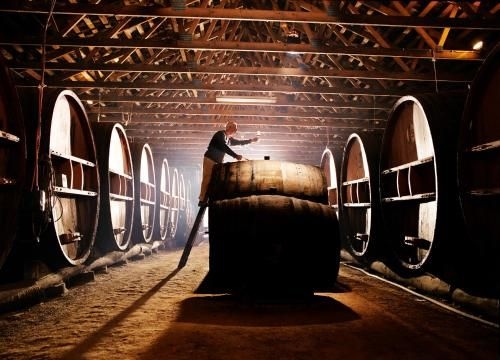 Pieter van Gent Winery & Vineyard0