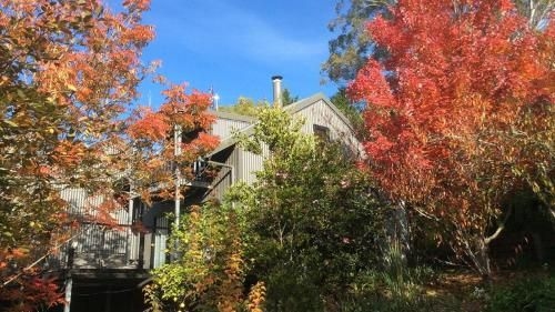 Cloudsong Chalet 4 - Close to the village centre0