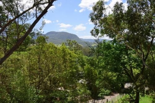 Treetops - Newly renovated in the village1
