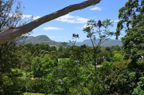 Treetops - Newly renovated in the village2