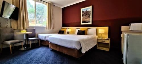 Deluxe Twin Room