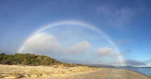 Freycinet Dream3