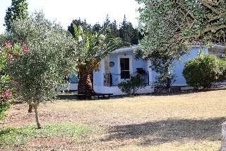 Liuba Houses1