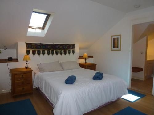 Morgano's Star0