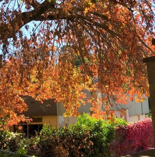 Aldgate Creek Cottage Bed and Breakfast3