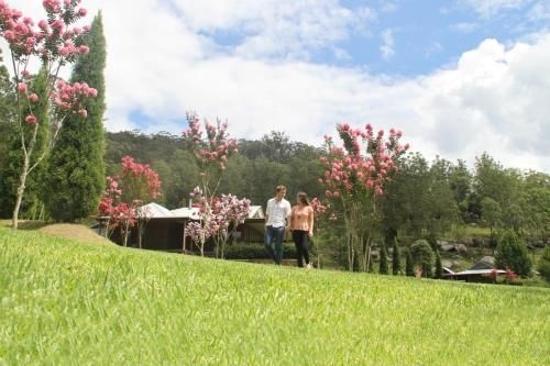 Blair Athol Estate Wollombi2