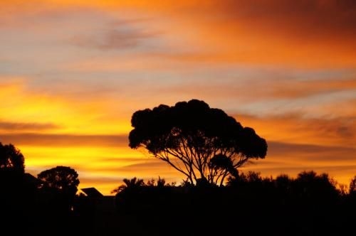 Lindsays of Kangaroo Island1