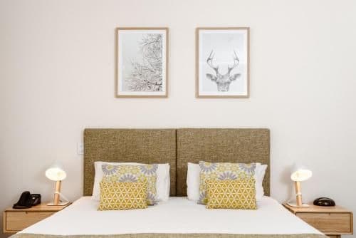 Superior Queen Room