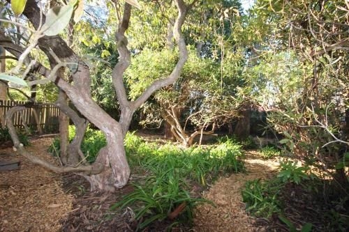 Stonewall Cottage for two with Fireplace2