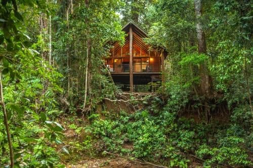 Two-Bedroom Treehouse