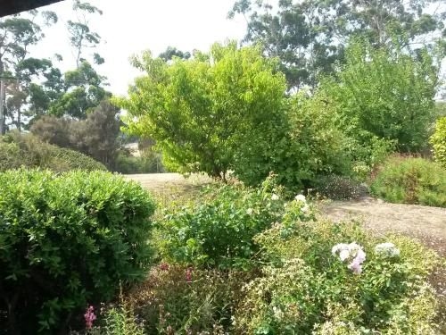 Eagle's Roost Farmstay B&B3