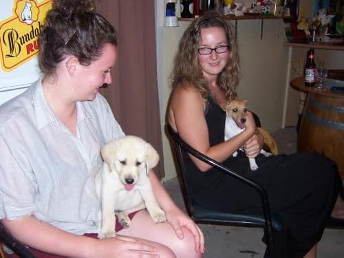 Studio - Pet Friendly