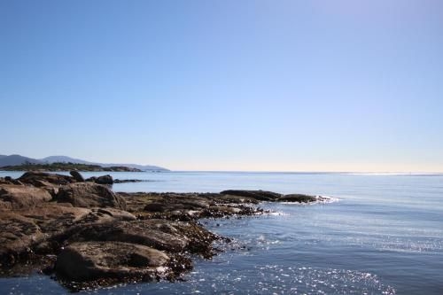 Blu-Sea 3651